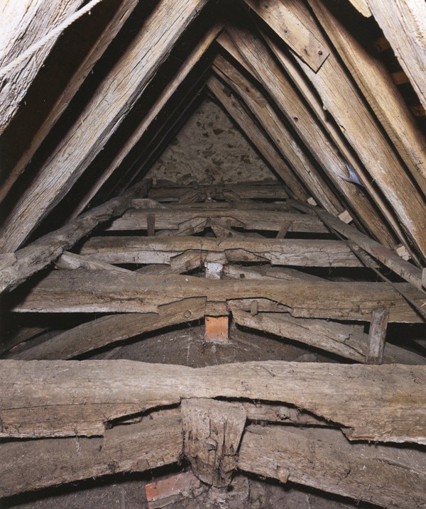 Coupe de bois, cernes de croissance et âge d'un arbre - archéologie du  futur / archéologie du quotidien